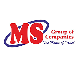 MS GROUP